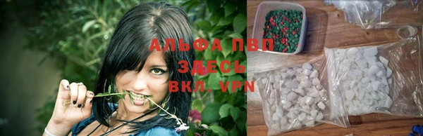 трава Арсеньев
