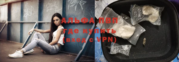 трава Арсеньев