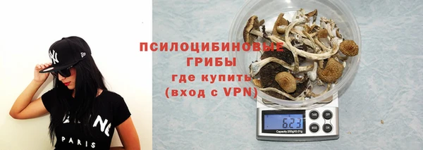 трава Арсеньев