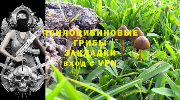 трава Арсеньев