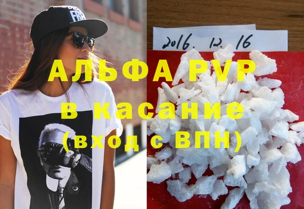 гашик Ветлуга