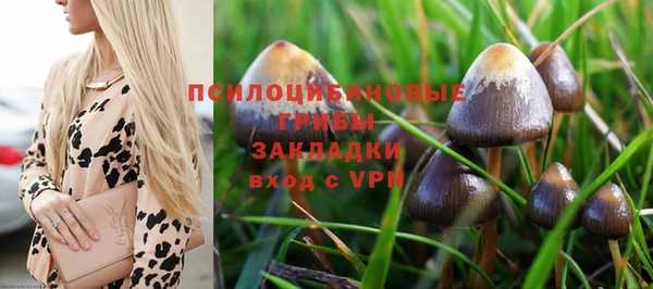 трава Арсеньев