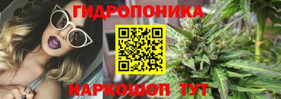 СК Волжск