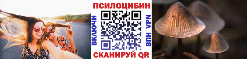 Галлюциногенные грибы MAGIC MUSHROOMS  где продают наркотики  Кубинка 