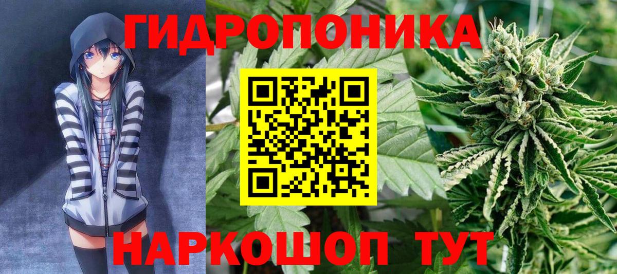 Бошки Шишки конопля Кубинка